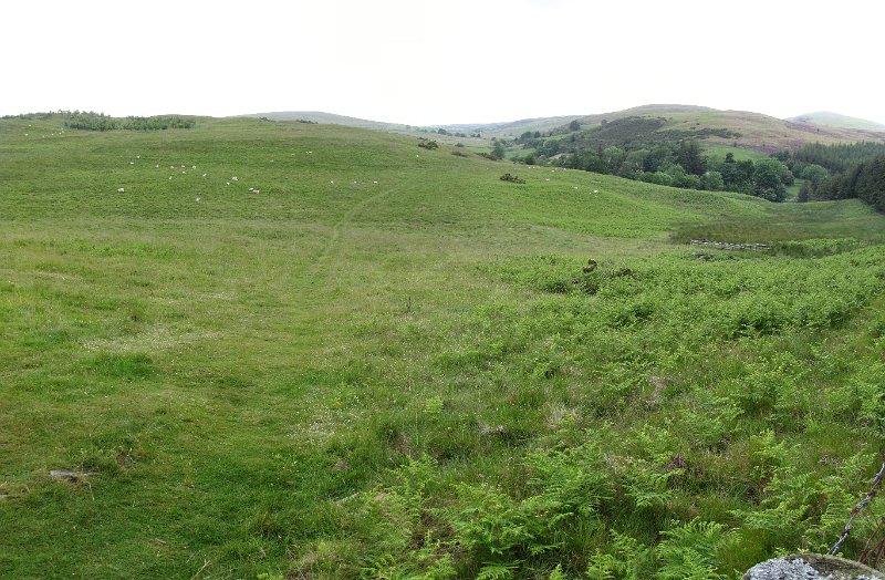 wooler common.jpg - Wooler common, onderdeel van de Cheviot hills.